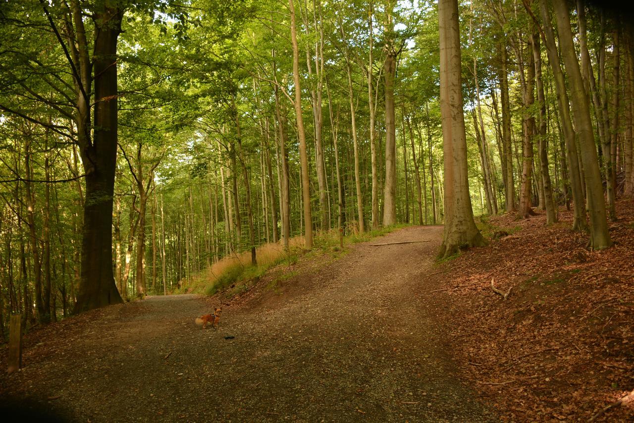 Vejle City Camping Exterior foto